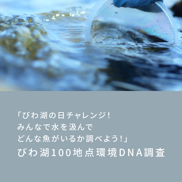 「びわ湖の日チャレンジ!みんなで水を汲んでどんな魚がいるか調べよう!」びわ湖100地点環境DNA調査