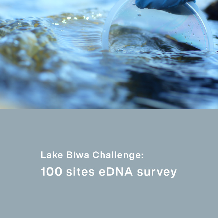 Lake Biwa Challenge: 100 sites eDNA survey